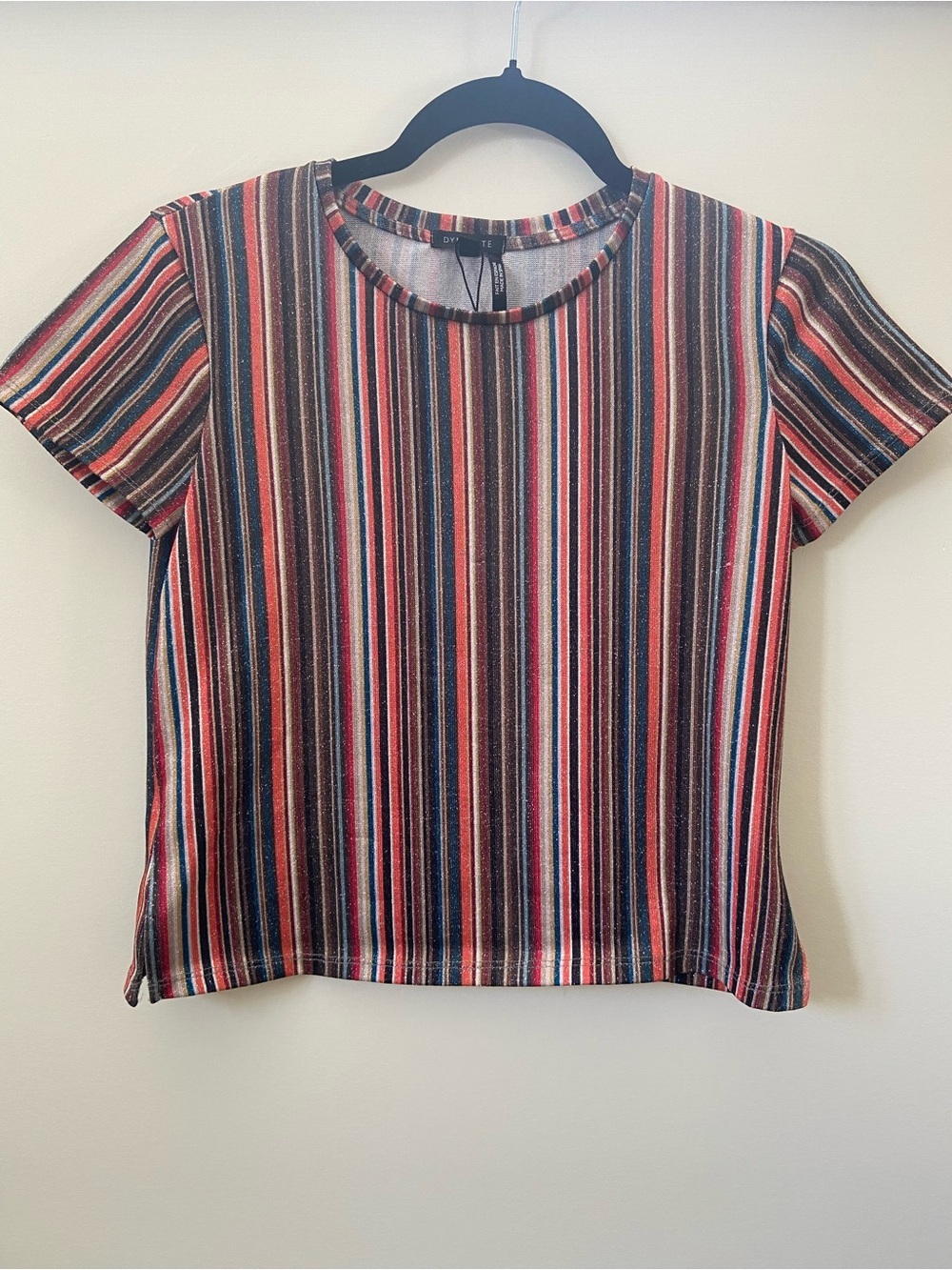 Metallic Multicolour Vertical Stripe 70s Style Short Sleeve Crop Top